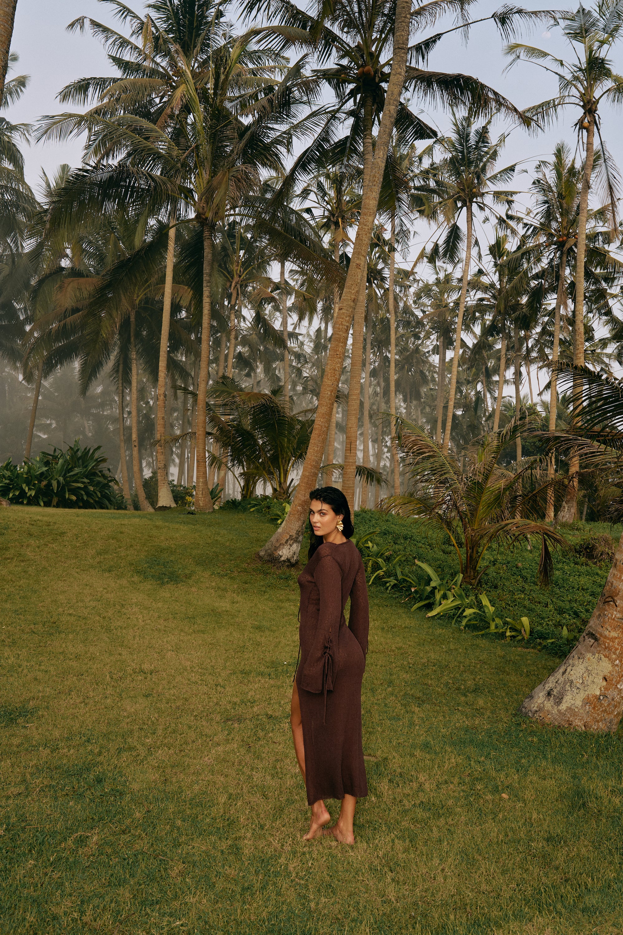 Nefeli Brown Maxi Dress